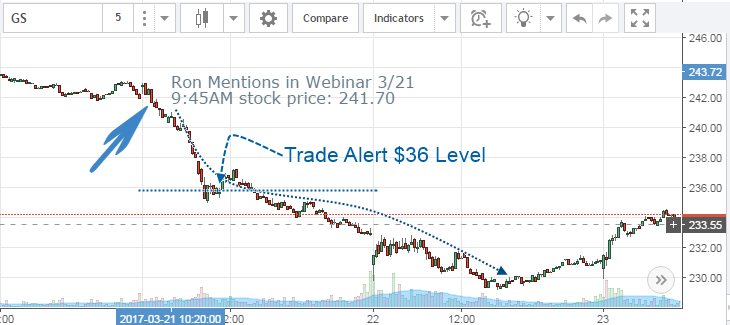 Lighthouse Point Options Stock price update