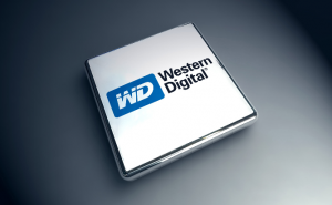 $WDC call prices trade higher