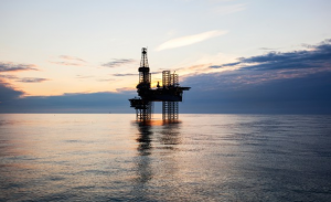 Atwood calls flooded with profits