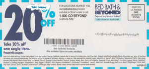 Bears bag big bundle in Bed Bath