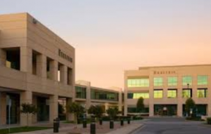 Call buyers win big with Exelixis