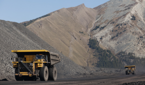 Bears mine Teck for heavy returns