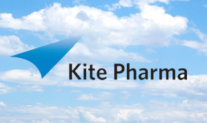 Bulls flying high with Kite Pharma