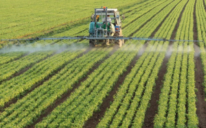 Potash is fertile ground for calls