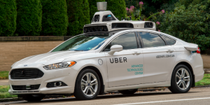 Bears score again in $UBER