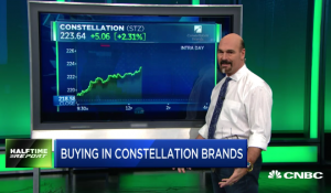 Traders toasting big wins in $STZ