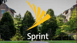 Call buyers dial up big win in $S