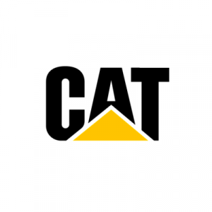 Option Swing Trade in $CAT
