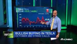 $TSLA bulls drive away with gains