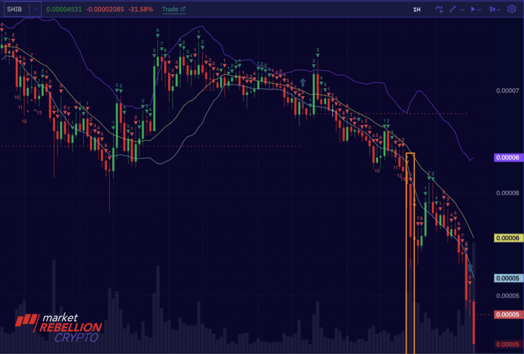 Following the Smart Money in $SHIB