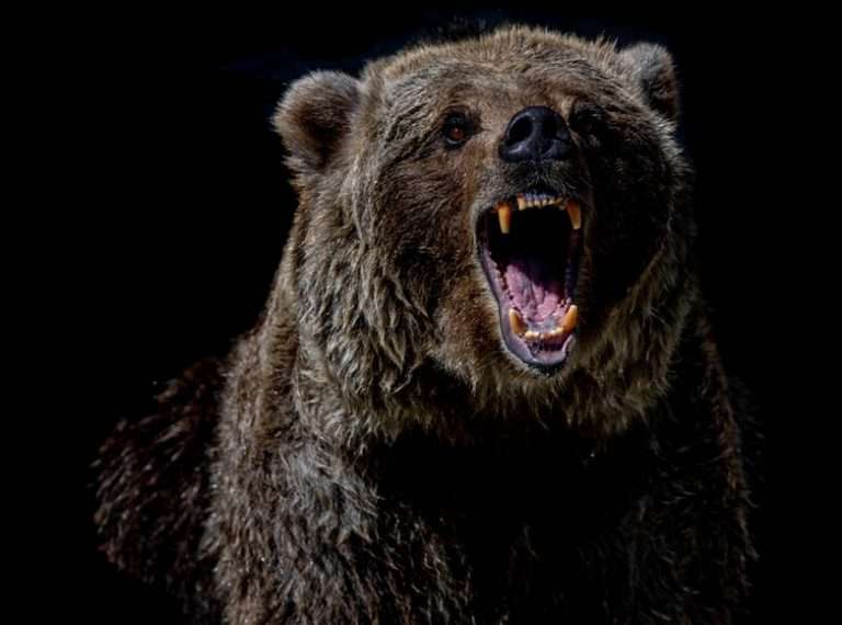 Citigroup Says S&P to Fall to 4,000 — Here’s Their Track Record