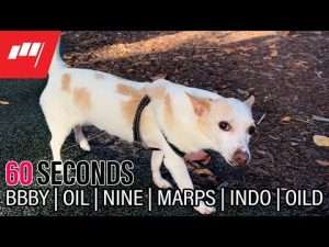 60 Seconds with Jon Najarian – Mar 07 2022
