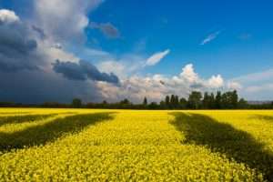 Russia and Ukraine: What it Means For Markets