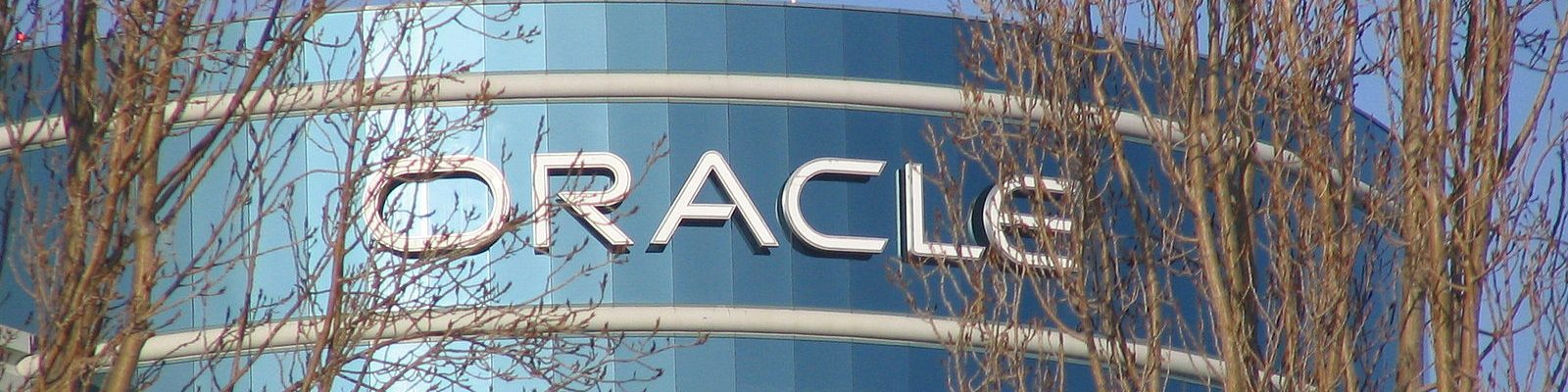 Oracle Earnings