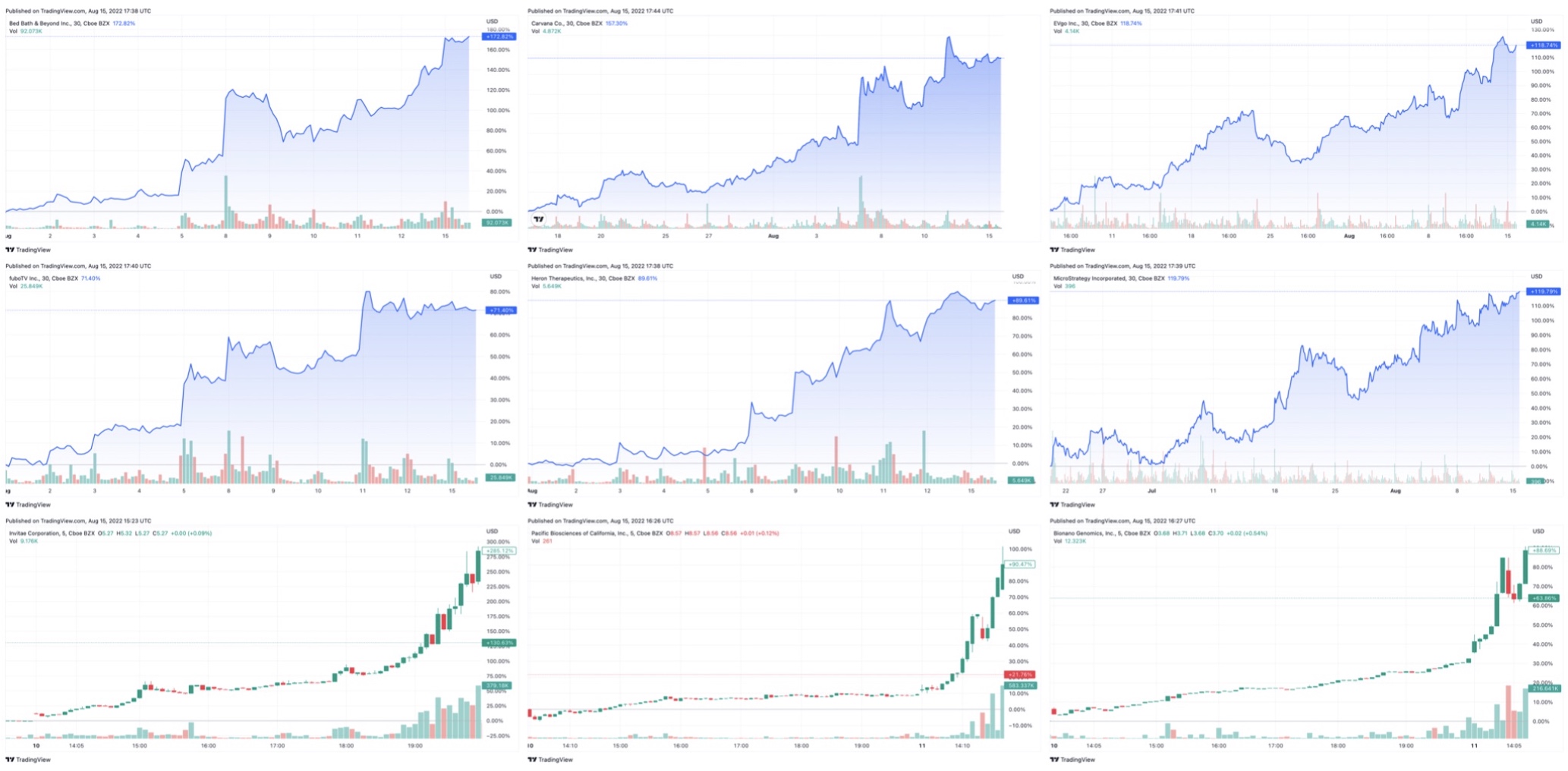 short squeeze