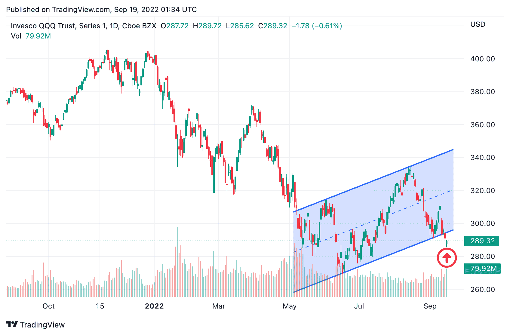 bear flag