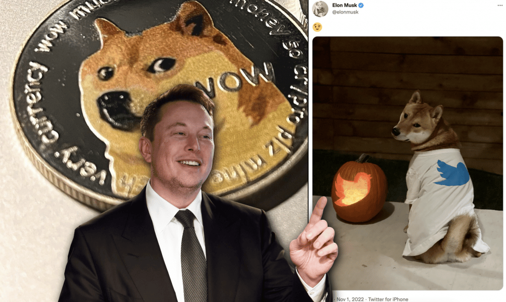 Elon Musk Doge Tweet: What Does It Mean?