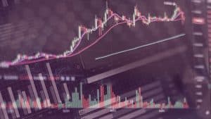 Nikola UOA Ahead of 80% 4D Rally