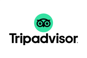 $TRIP call prices rise up