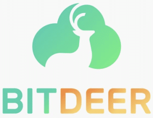 Bitdeer Technologies Call Prices Rise Overnight